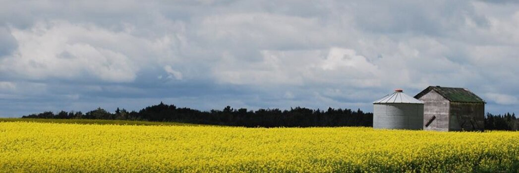 Kelly MacFarlane banner