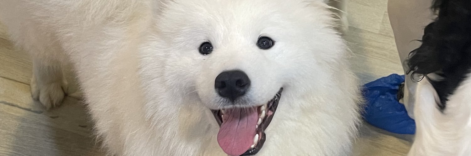 k_keaii's profile banner image