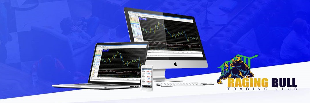 Raging Bull Club #cryptopicks, #crypto, #nft banner