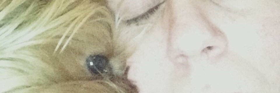noemibuges's profile banner image