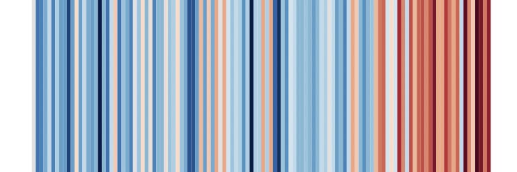 Christine Pena banner