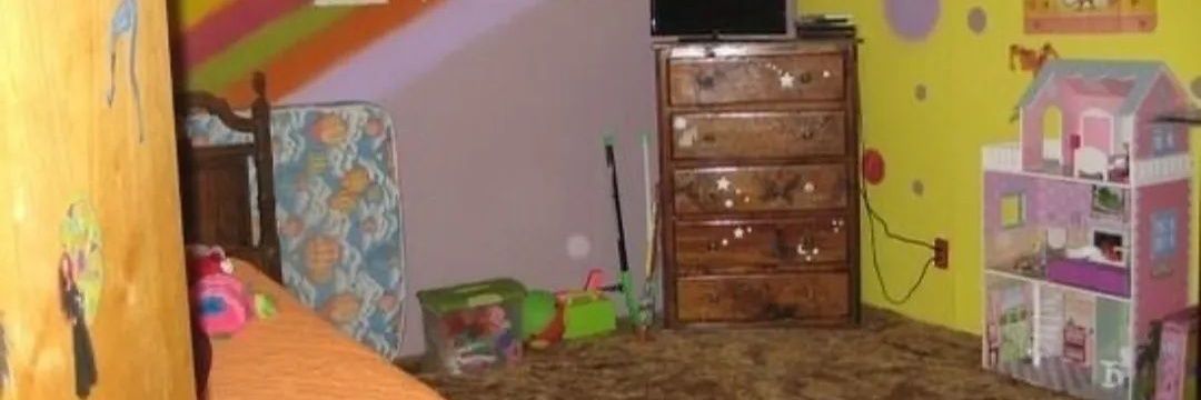 co2 bone soup★ banner