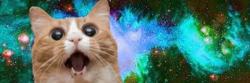 🎆🏴‍☠️🦝ᴛʀᴏʟʟ ᴅᴇᴍᴏɴ ᴛʀɪꜱʜ ™🦝🎆's banner