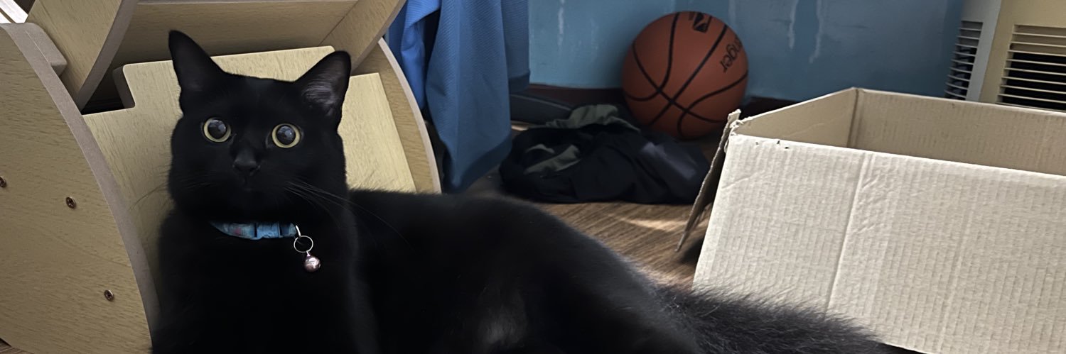 insanesquirrel's profile banner image