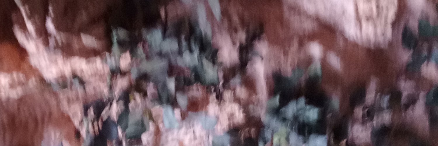 Alifadestih's profile banner image