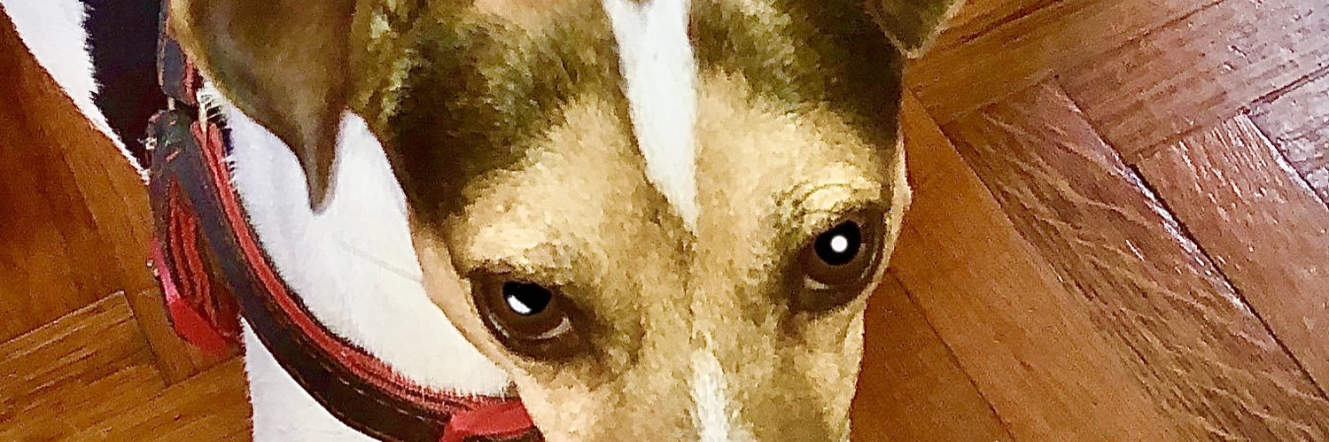 JConde159's profile banner image