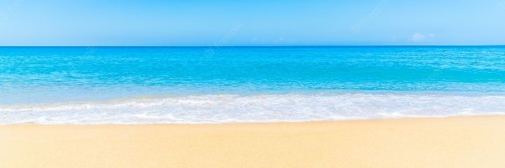 Malasombra de los pinos banner