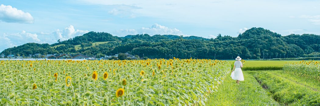 sbsk89's profile banner image