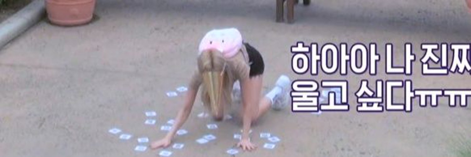 스몰핏푸딩곰 banner