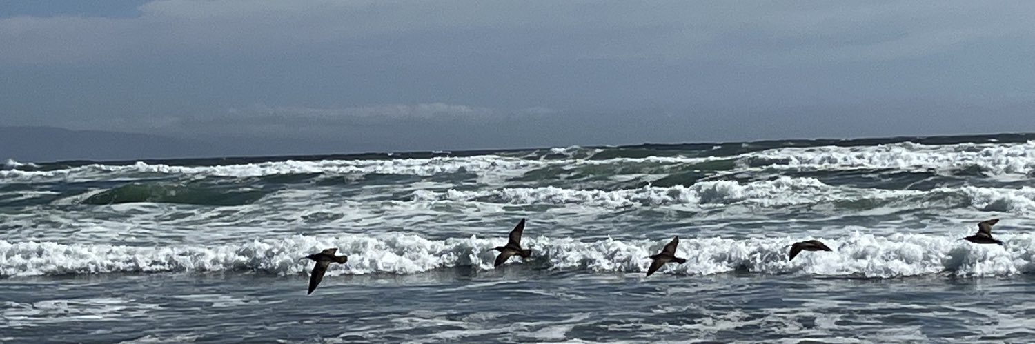 Be✨the✨change banner