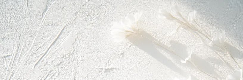 しゃろ banner