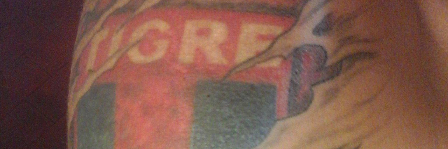 diegotigre77's profile banner image