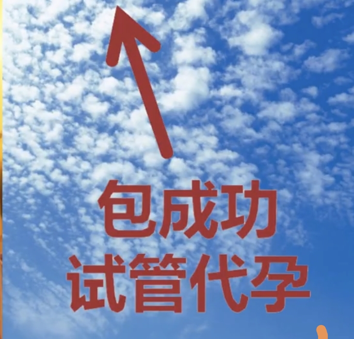 214Maichan's profile banner image