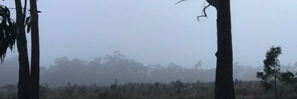 Eganstown's profile banner image