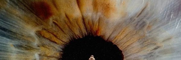 muiffcel Profile Banner