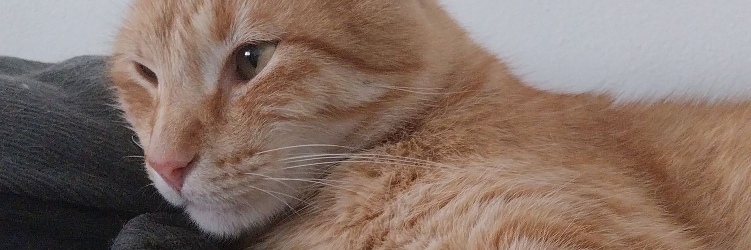 Correron's profile banner image
