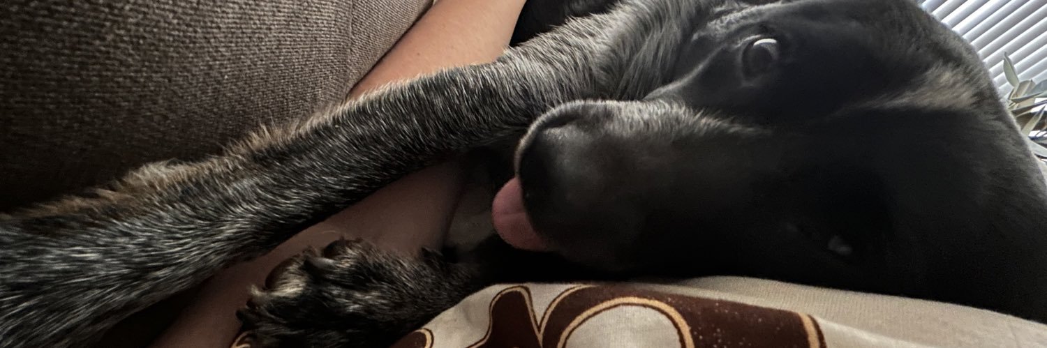 laurreen4's profile banner image
