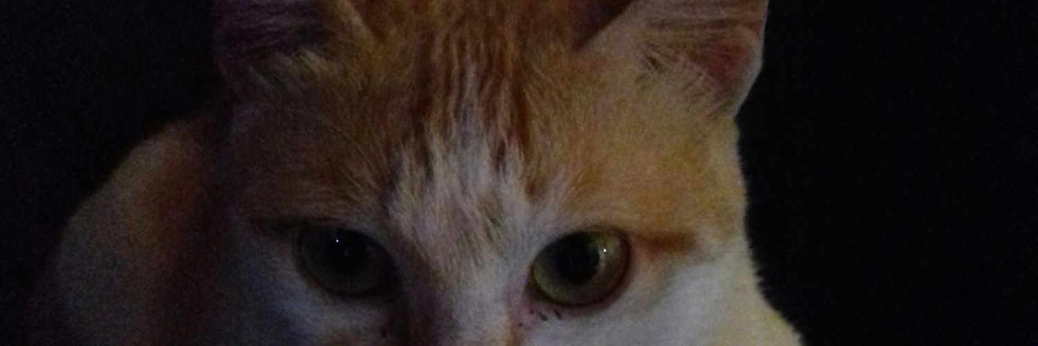 SaidHok's profile banner image