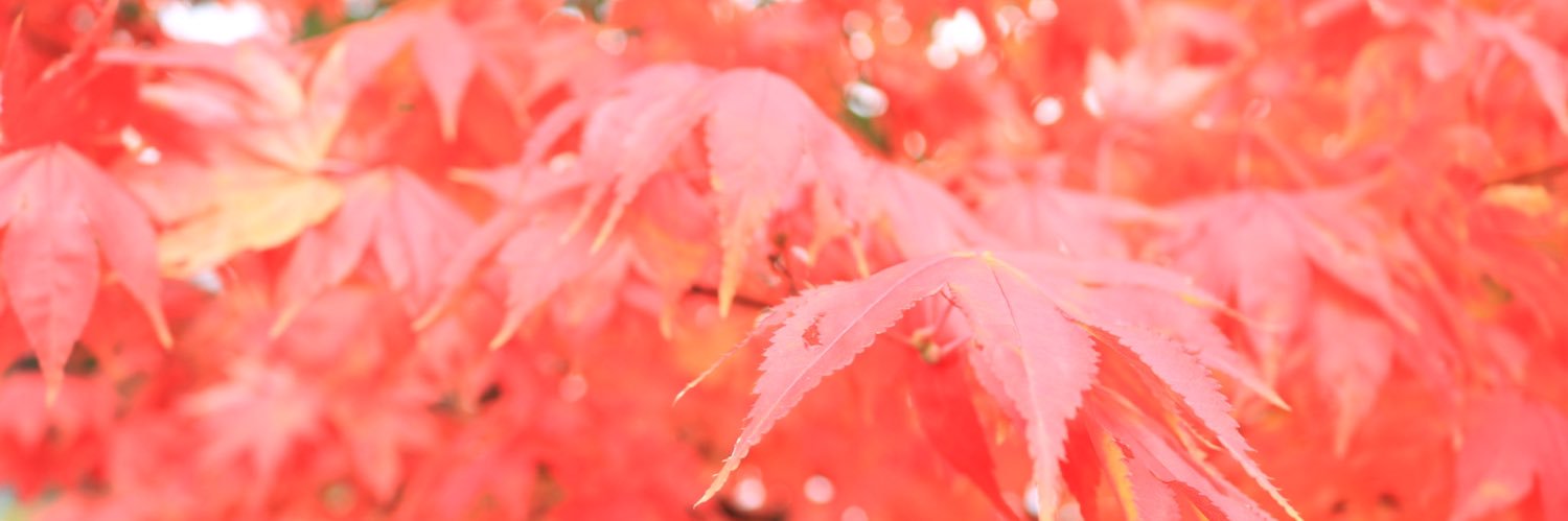 pain_ran's profile banner image