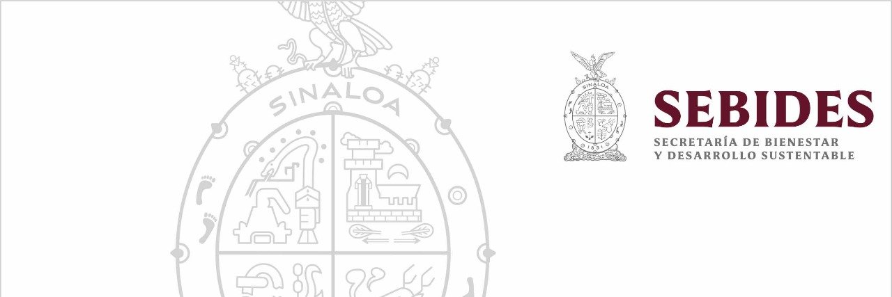 SEBIDES Sinaloa banner