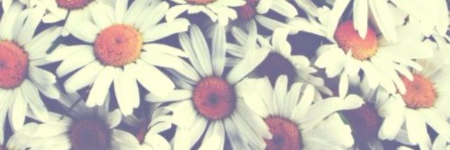 cameronkeaney's profile banner image
