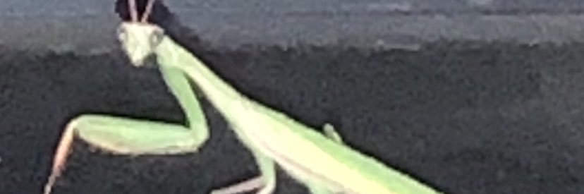 LeSinge007's profile banner image