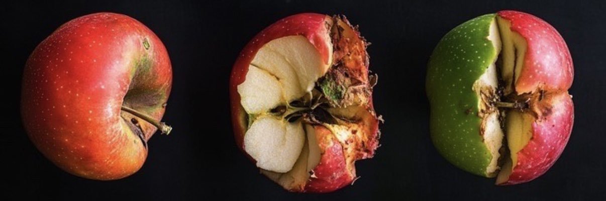 Mr.bread🍎 banner
