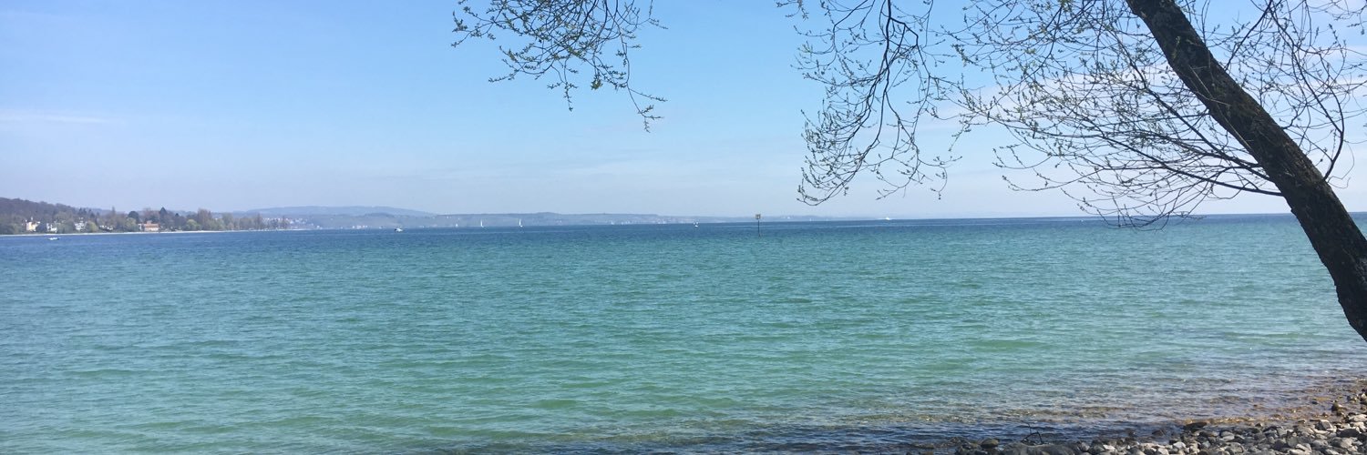 Arianna Lucheroni banner