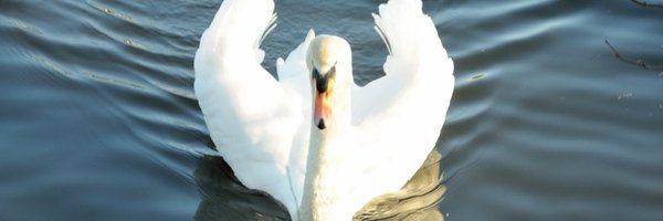 helena_is_here Profile Banner