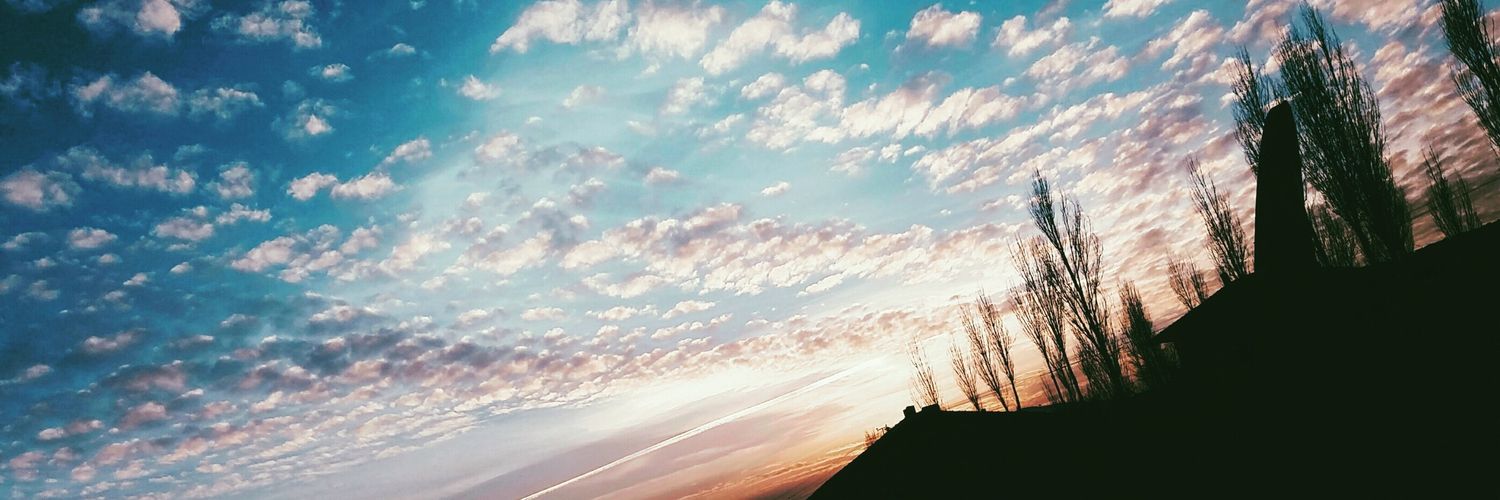 EsmanurTurunc's profile banner image