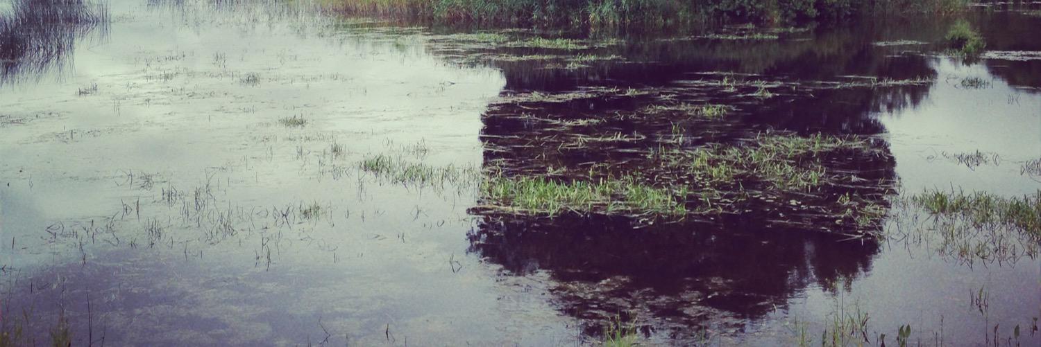 zara woolfson banner