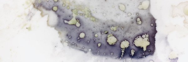 senkou Profile Banner