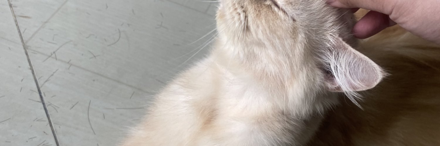 yyyyognh's profile banner image