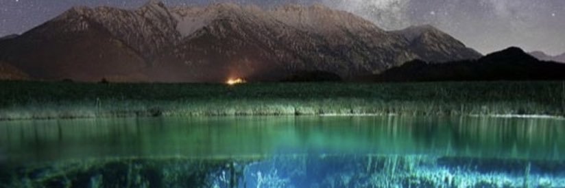 Loop Beni ❌⭕️ banner