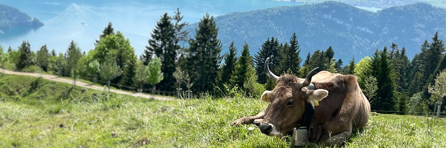 Kimberly Yan, MD banner