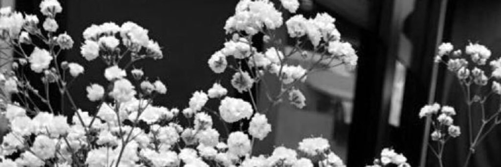 haaak_al's profile banner image
