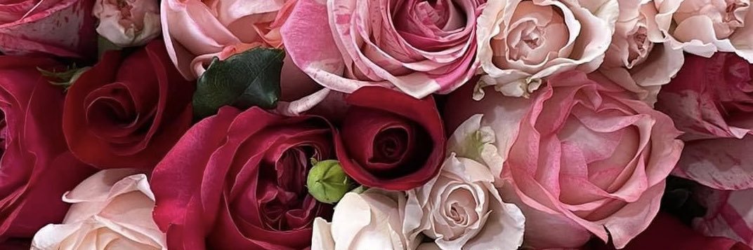 lovedannixox's profile banner image
