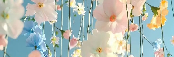 ℙ͙𝕚𝕟𝕠ꪔ̤̮𓂃٭𓈒𓏸 banner