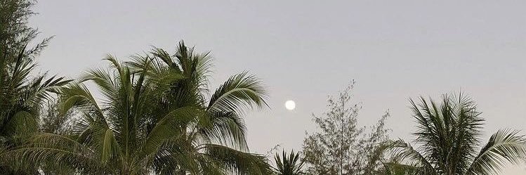 mukthamoreno's profile banner image