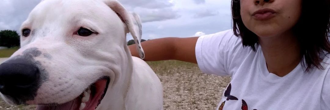 Daa_Sosa's profile banner image