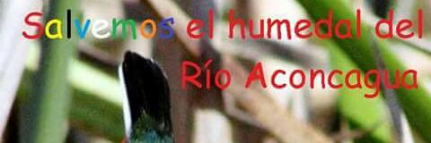 FRENTE AMPLIO #NO banner