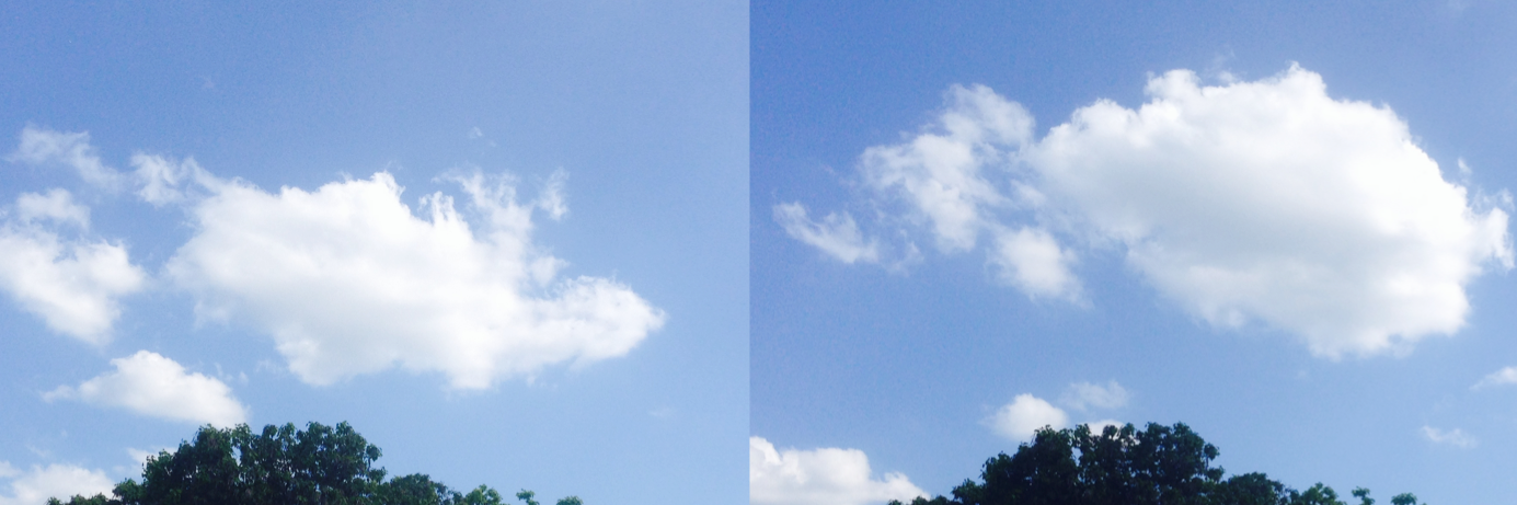 Beatrice Lugger banner