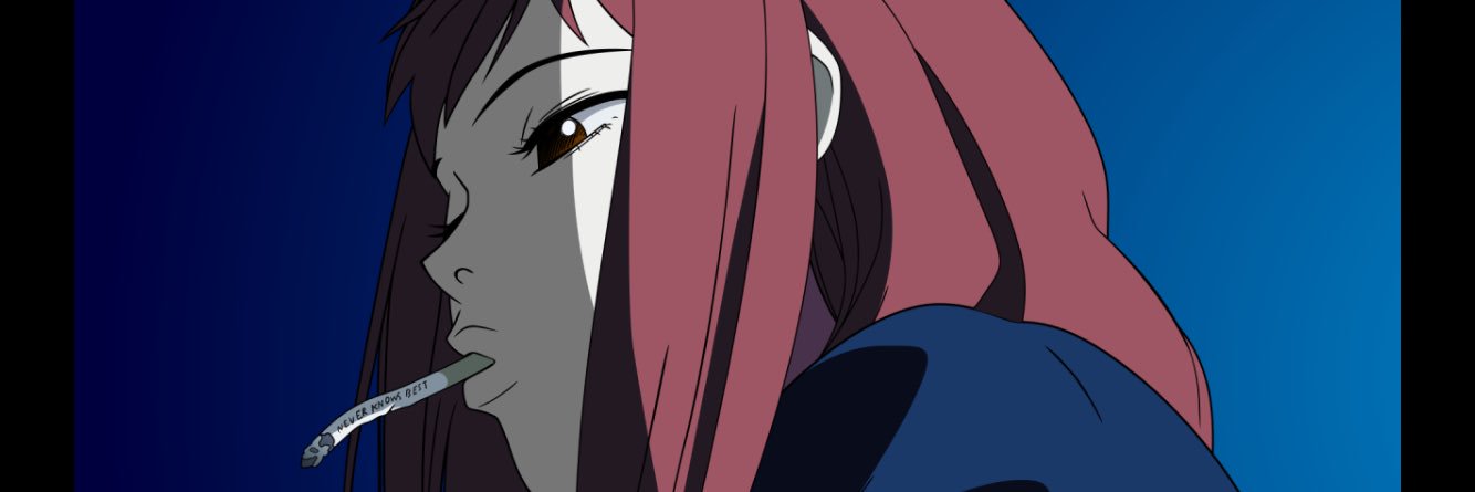 IgnorentShit's profile banner image