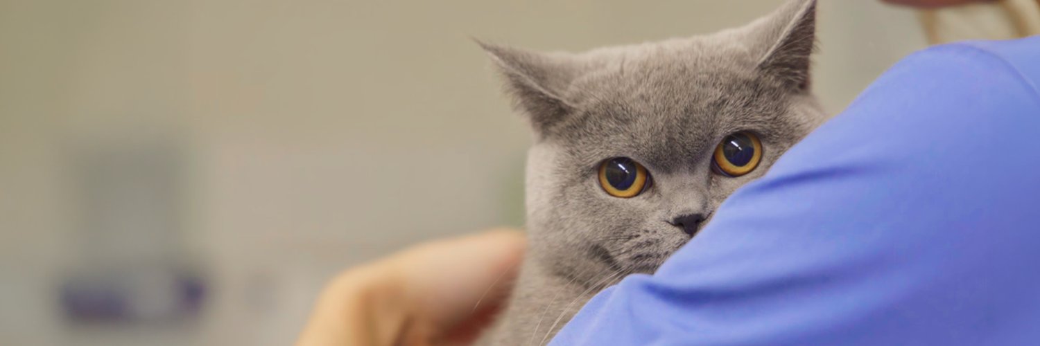 Millpledge Veterinary banner