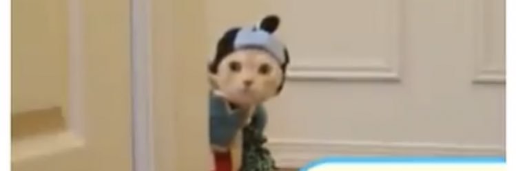 WengLou's profile banner image