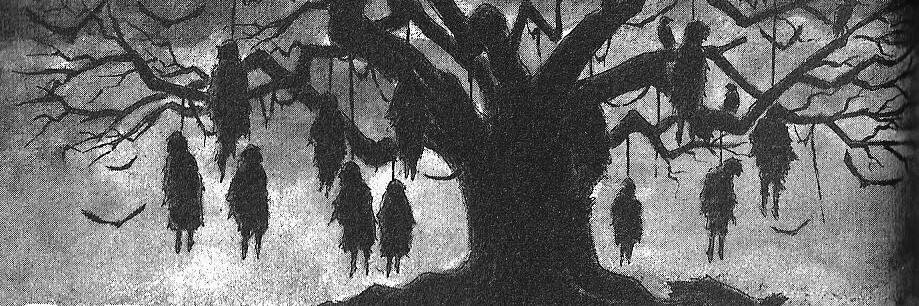 mudilushka's profile banner image