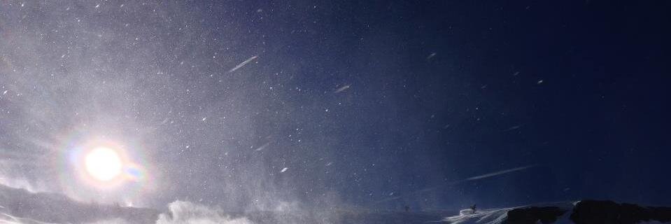 Stephanie Kaiser banner