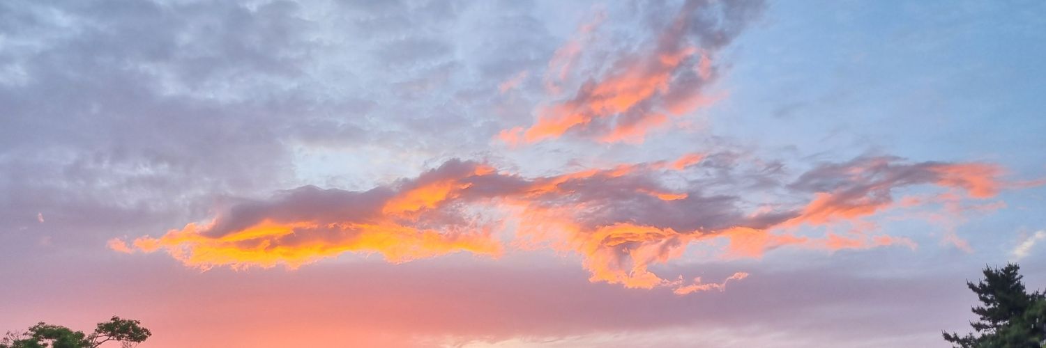 s2dorans2's profile banner image