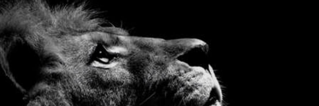 furedetsu's profile banner image
