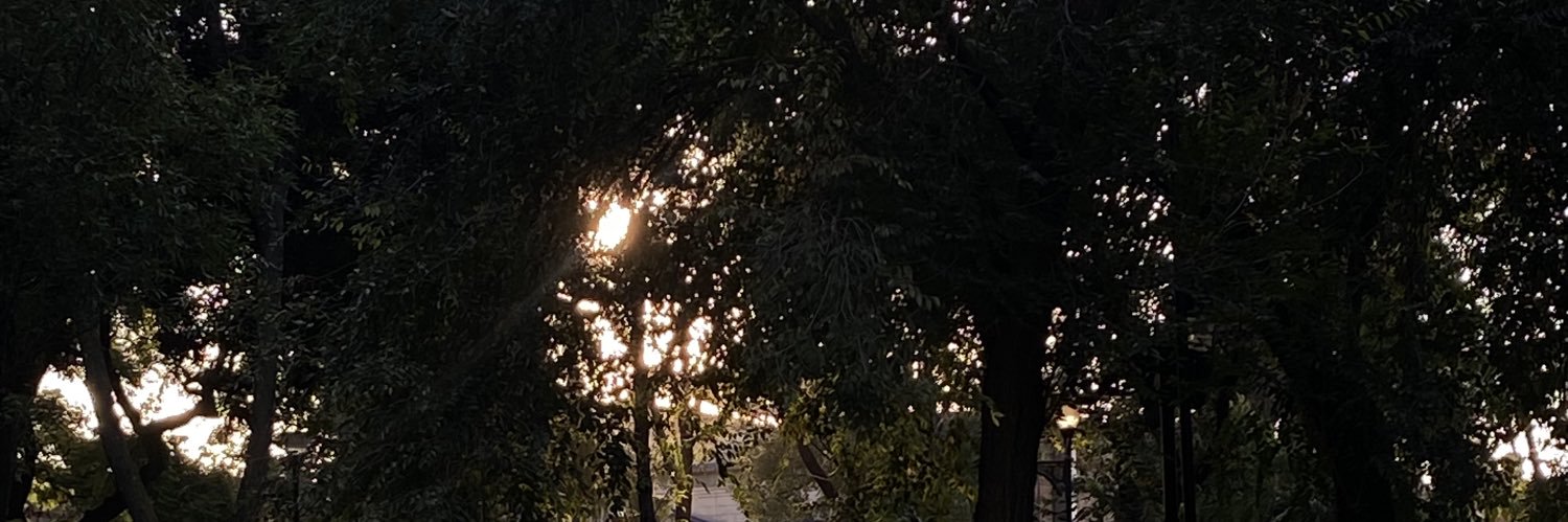 ☾ banner